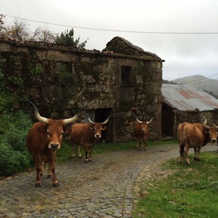 Casa Do Ramiscal - Eido Do Pomar Villa Sistelo Eksteriør billede